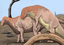 namosaurus_reproduction_by_namodinosaur.jpg