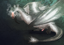 northernironbelly_smaug.png