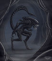 notorious84_xenomorph_with_cock.jpg