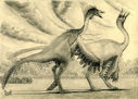ornithomimus_edmontonicus_by_t_pekc-d5lc2af.jpg