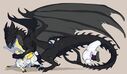 owishka_daffodil_and_dark_collaring_wof.jpg