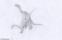 plateosaurus_luv__by_bioniclesaurus.jpg
