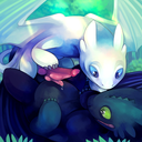 rainbowbasilisk_toothless_and_lightfury_2.png