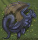 redraptor16_sleepy_toothless.jpg