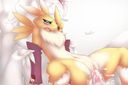 reshiram_renamon.jpg