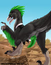 rika-raptor.jpg