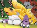 rmtwo_renamon_mounted.png