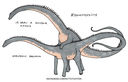 ruttis-art_diplodocus.jpg