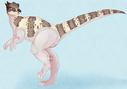 saberhorn_shy-pachycephalosaurus.png