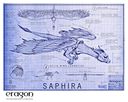 saphira_blueprint.jpg