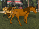 Filename=shamansquirrel__shamansquirrel_Kaitang_X_Mava_Breeding.png
Filesize=239KiB
Dimensions=1280x960
Date added=Aug 31, 2019 shamansquirrel__shamansquirrel_Kaitang_X_Mava_Breeding.png