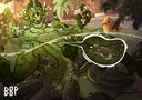 Filename=smallboop_eel_attack_wof.jpg
Filesize=298KiB
Dimensions=2048x1443
Date added=Jun 17, 2025 smallboop_eel_attack_wof.jpg