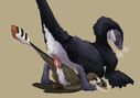 sweetmarrow_saurornithoides_scaphognathus_mount.jpg