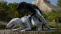 thatman_jinnoaka_dinos2.gif