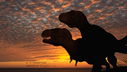 trex_sunset.jpg