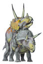 triceratops.jpg