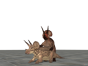 triceratops_mating_2_by_dovahsaurpaleoknight.png