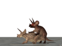 triceratops_mating_by_dovahsaurpaleoknight.png