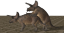 triceratops_mating_the_isle_models_2_by_dovahsaurpaleoknight.png