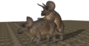triceratops_mating_the_isle_models_by_dovahsaurpaleoknight.png