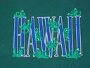 tshirt_gecko_hawaii_tshirt.jpg