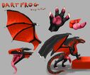 universaldragon_dartfrog_rainwing.jpg