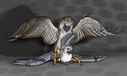 uppmap123_goshawk-eagle.png