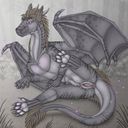 wemd_a_female_dragon.jpg