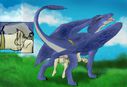 whitefenrril_saphira_eraongnew_toy-final1.jpg