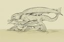 Filename=woollypoky_mating.jpg
Filesize=223KiB
Dimensions=1280x853
Date added=Feb 10, 2019 woollypoky_mating.jpg
