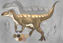 yaroul_allosaur-female.jpg