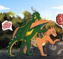 zafara_charizard.jpg