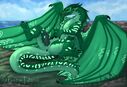 zenrii_turtle_wof.jpg