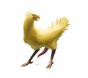 zw3_chocobo_final_fantasy.jpg