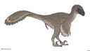 zw3_dromaeosaurus.jpg