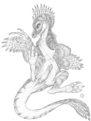 Durin raptor
art by dark_natasha
Keywords: dinosaur;theropod;raptor;deinonychus;male;feral;solo;penis;dark_natasha