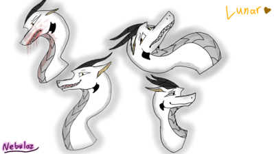Lunar Headshots
art by nebulaz
Keywords: dragoness;female;feral;solo;non-adult;nebulaz