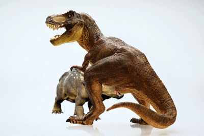 Triceratops and Rex.gif
unknown creator
Keywords: video;animated_gif;dinosaur;theropod;tyrannosaurus_rex;trex;ceratopsid;triceratops;male;female;feral;M/F;penis;oral;cgi