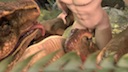 geetee_ark_raptor_mounted.mov