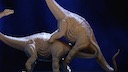 wie_hatten_dinos_sex_im_video_wissen.mov