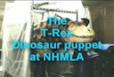 Dare_to_touch_a_Dinosaur.mov