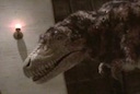 museum_dinosaur.mov