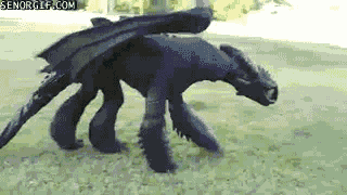 Toothless Suit.gif
unknown creator
Keywords: video;animated_gif;how_to_train_your_dragon;httyd;dragon;night_fury;toothless;anthro;fursuit;solo;non-adult
